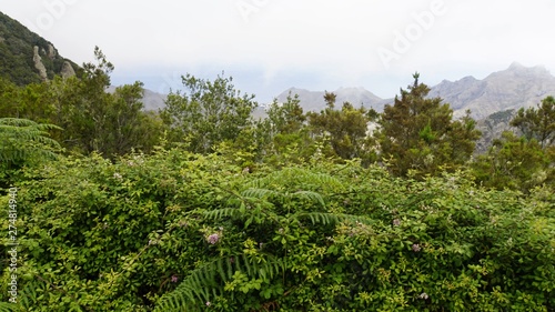 cloudy and foggy landscape in anaga mountains