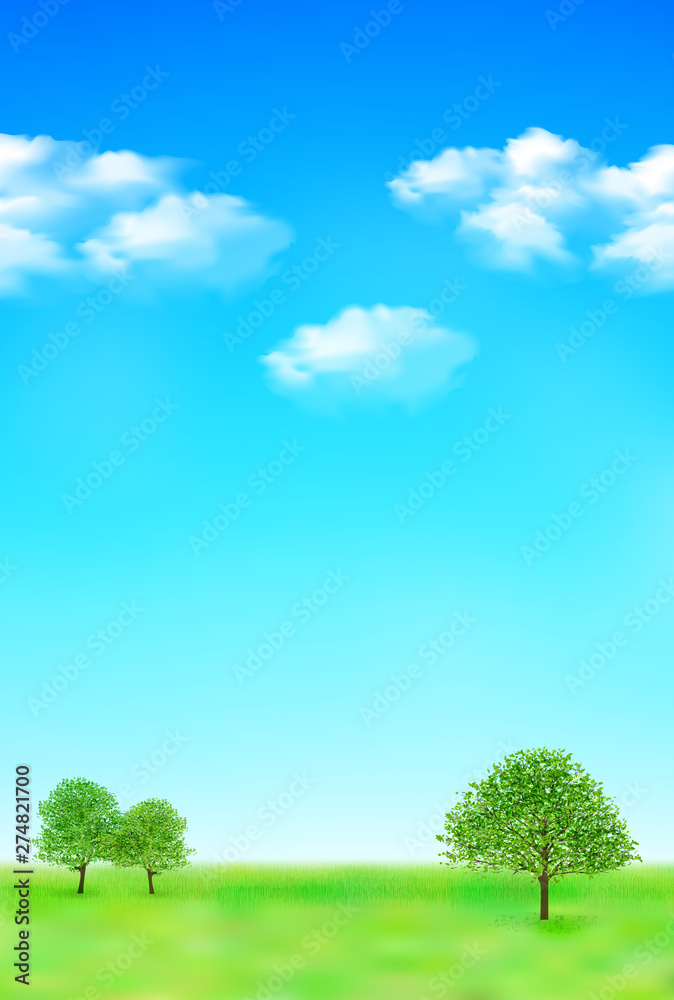 Fototapeta premium 空 草原 風景 背景 