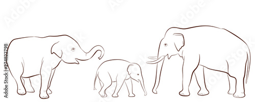 Family of elephants in outline style, vector set of Asian elephants isolated on white background 