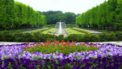 初夏の昭和記念公園