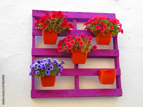 Petunias in pots on painted wooden pallet
