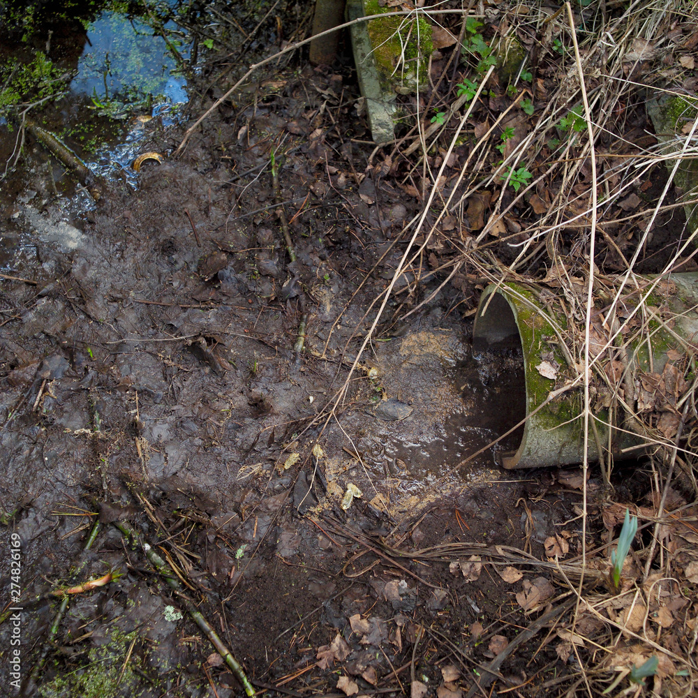 Wastewater leaking out of canalization pipe