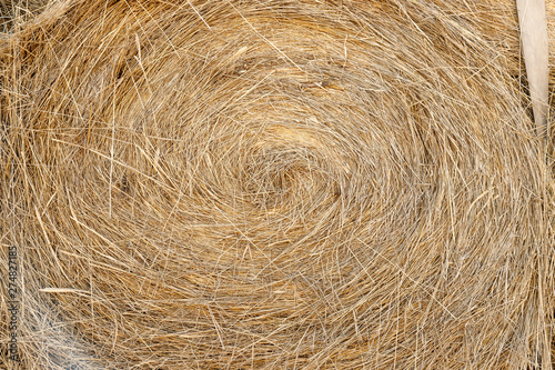 Front view of hay roll tied to a truck