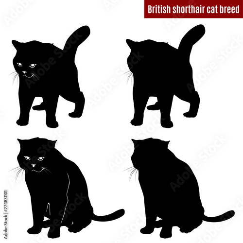 Cat black silhouettes on white background, vector illustration