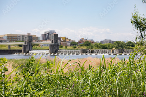 日本 川の風景 多摩川