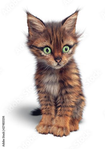 Cute striped kitten looks away with wide open green eyes. Glorious striped cat sits on the floor and looks very curious. Brown mackerel tabby cat with white chest. 3d rendering on a white background.