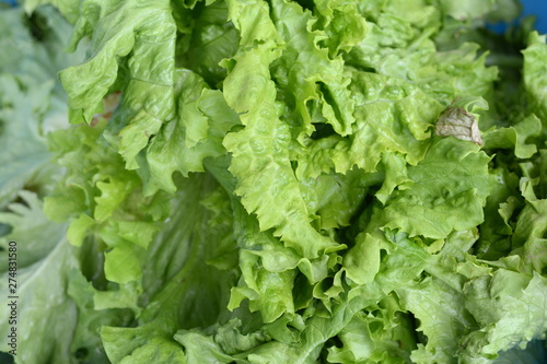 Salad at marketplace. Fresh green salad .