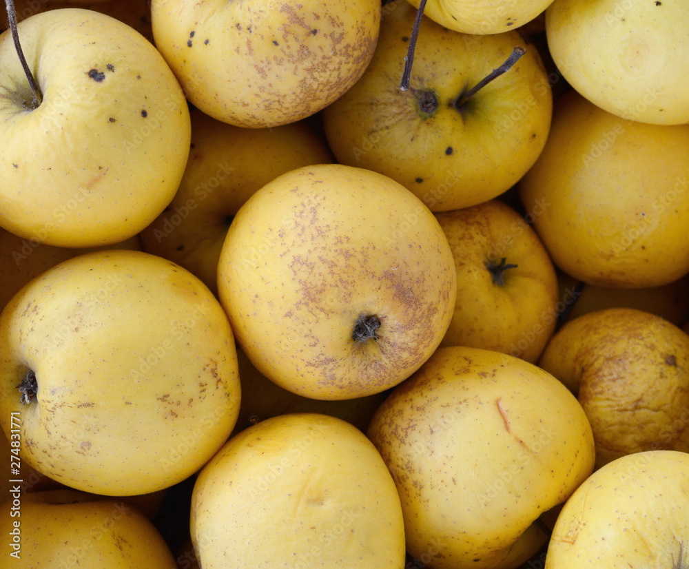 Apples on the market. Fresh organic yellow apples from the local farmers market. Apples background background texture seasoning Apples for sale. Apples on the market. Fresh organic yellow apples from the local farmers market. Apples background background texture seasoning Apples for sale.