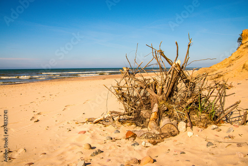 Fototapeta Naklejka Na Ścianę i Meble -  lonesome, unaffected beach of the Baltic Sea in Poland