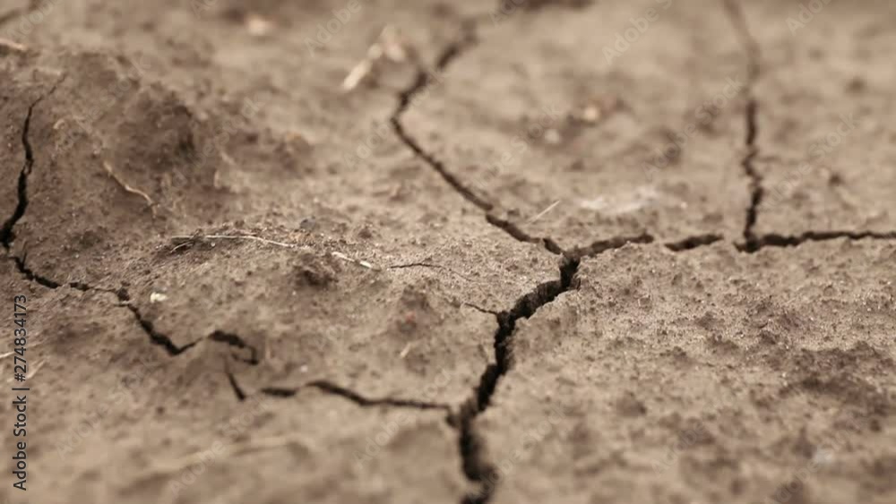 Dry soil of field, crack on ground. Arid climate. Dry soil of field, crack on ground. Arid climate.