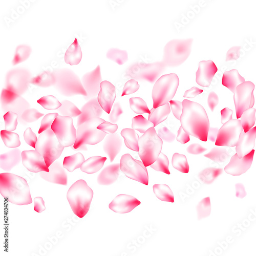Spring blossom isolated petals flying © SunwArt