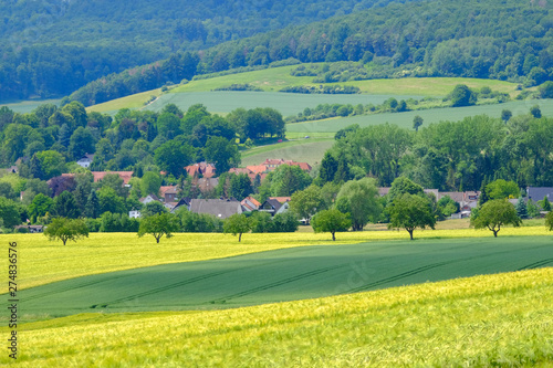 View on the agricultural fields with grain in Germany.