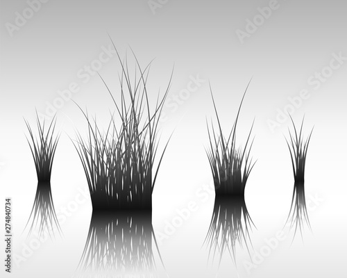 grass on water