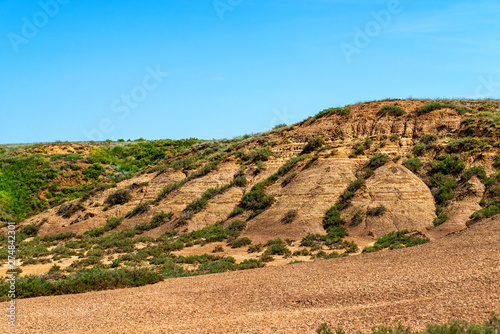 Dry cracked takir soil in semi-desert in Russia. Nature landscape photo