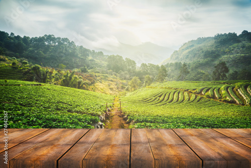 wooden table with scenic view of strawberry field at Doi Ang Khang, Chiang Mai, Thailand photo