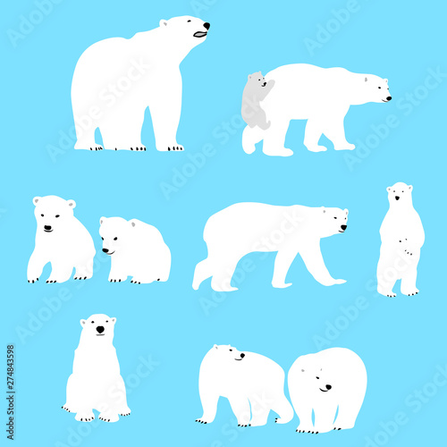 Cute Polar Bear in Simple Style