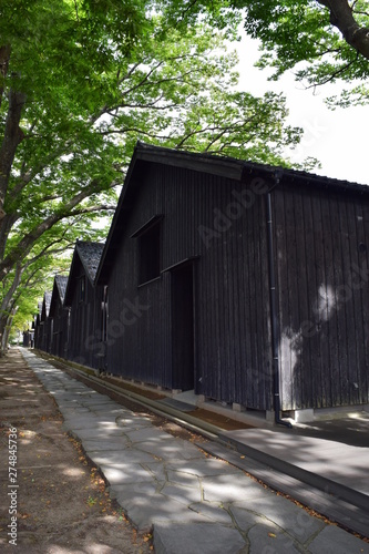 山居倉庫 ／ 東北地方の米どころ、山形県庄内のシンボル「山居倉庫」は、明治26年(1893)に建てられ、現在も現役の米保管倉庫です。白壁、土蔵づくり９棟からなる倉庫の米の収容能力は10,800トン(18万俵)です。夏の高温防止のために背後にケヤキ並木を配し、内部の湿気防止には二重屋根にするなど、自然を利用した先人の知恵が生かされた低温倉庫です。 © FRANK