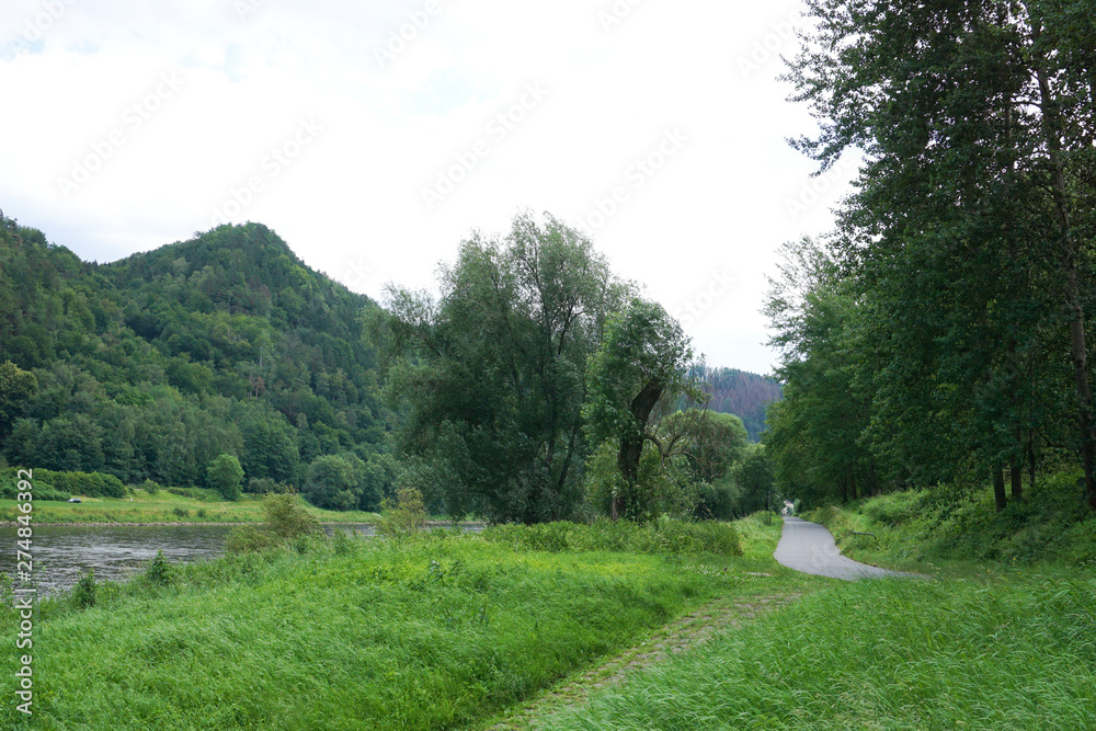 Der Elberadweg in der Sächsichen Schweiz nahe Schmilka