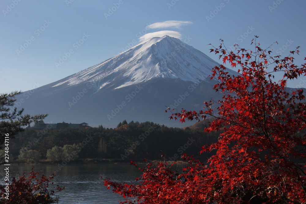 富士の紅葉