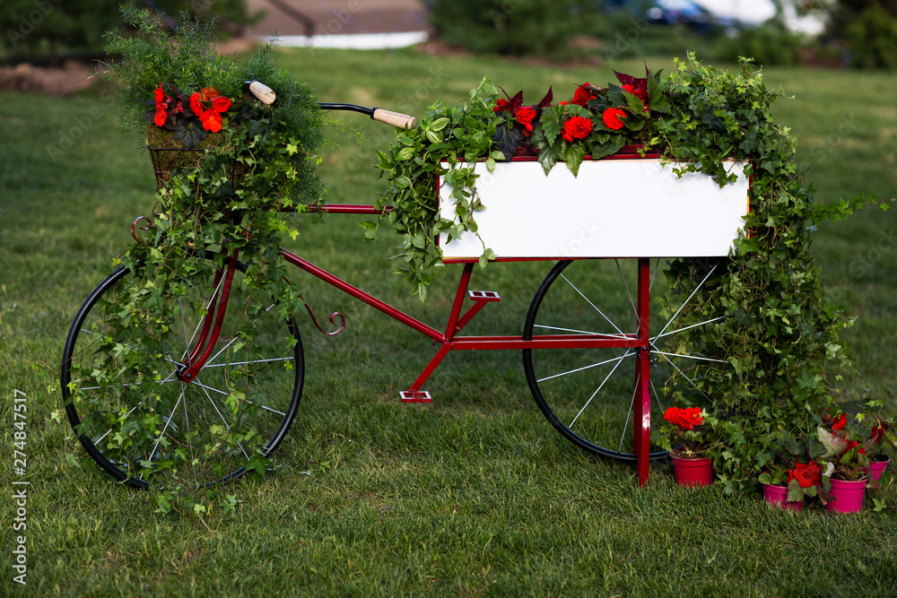 Photo of garden bike decorated with red flowers in garden on summer