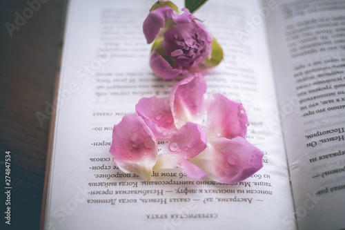 wedding invitation card