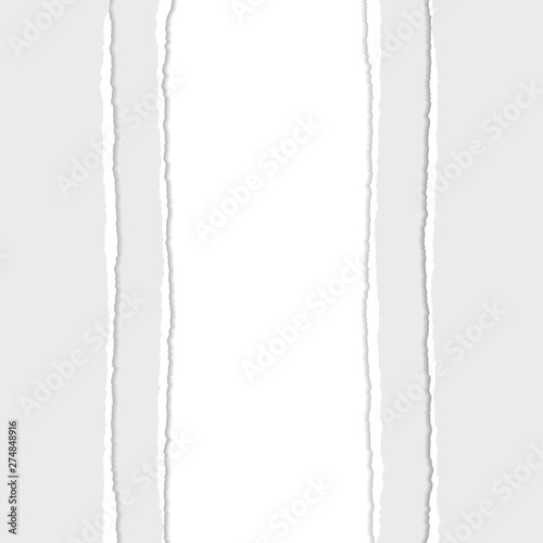 Gray Vector Ripped or Torn Paper Divider Background
