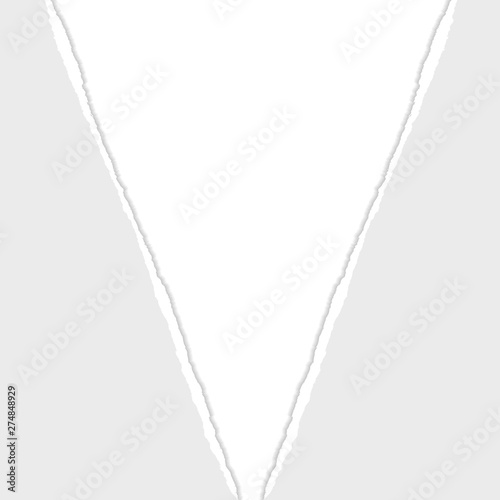 Gray Vector Ripped or Torn Paper Divider Background