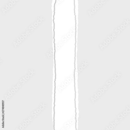 Gray Vector Ripped or Torn Paper Divider Background