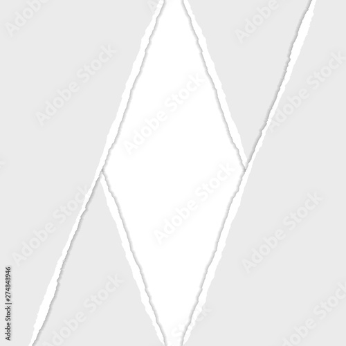 Gray Vector Ripped or Torn Paper Divider Background