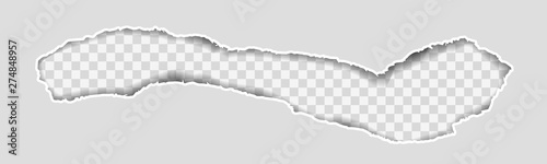 Gray Vector Ripped or Torn Paper Divider Background