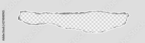 Gray Vector Ripped or Torn Paper Divider Background