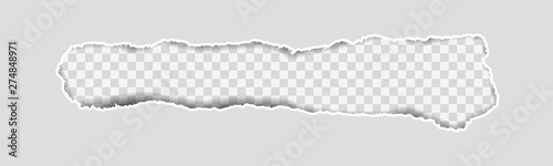 Gray Vector Ripped or Torn Paper Divider Background