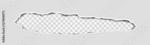 Gray Vector Ripped or Torn Paper Divider Background