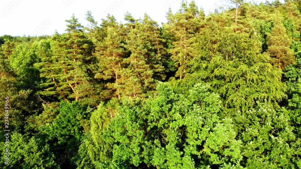 Boom shot from a drone of polish boreal forest in pomerania district (pomorskie, Eastern Europe ). Boom shot from a drone of polish boreal forest in pomerania district (pomorskie, Eastern Europe ).