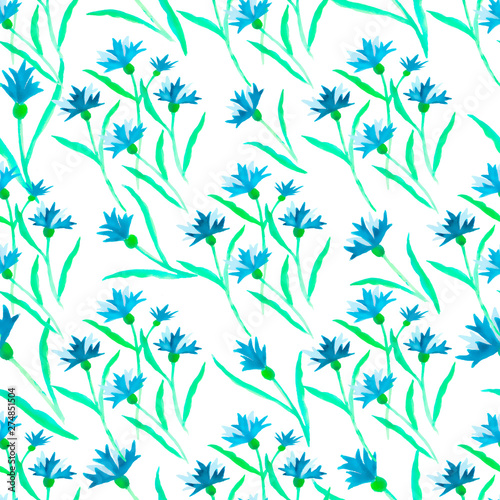 Pattern watercolor blue cornflower border on white