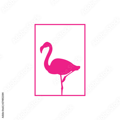 Icono plano flamenco en rectángulo lineal en color rosa
