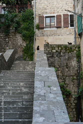 Ancient stairs in Old town Kotor. Medieval stone staircase between apartment buildings in the old town center of Montenegro. Cats in the street waiting for food in a wall