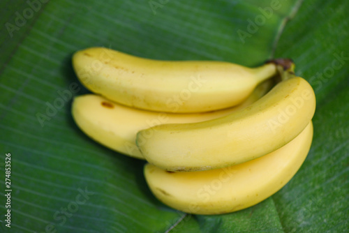 Banana on the banana leaf background in the summer