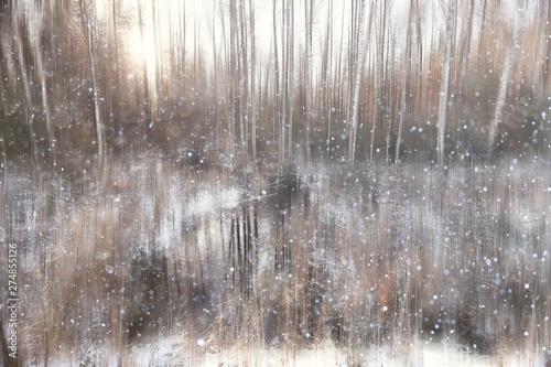 forest snow blurred background / winter landscape snow-covered forest, trees and branches in winter weather