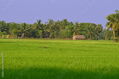 Foto landscape of a village in India