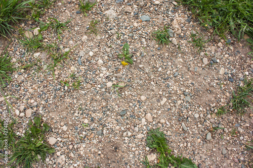 small area of small stones and sand among the grass, selective focus, top view