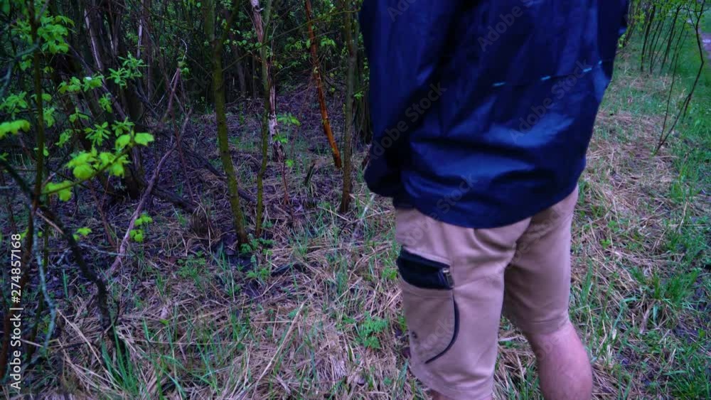 A man, being in nature defecates, pissing in the bushes A man, being in nature defecates, pissing in the bushes
