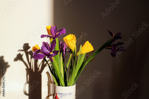 The colorful daffodils and irises.