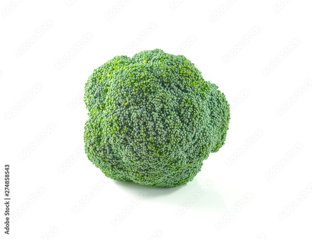 Fresh broccoli isolated on white background. Fresh broccoli isolated on white background.