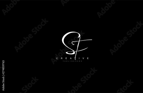 Stylish Monogram Signature Letter Sf Logo Design