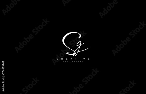 Stylish Monogram Signature Letter Sg Logo Design