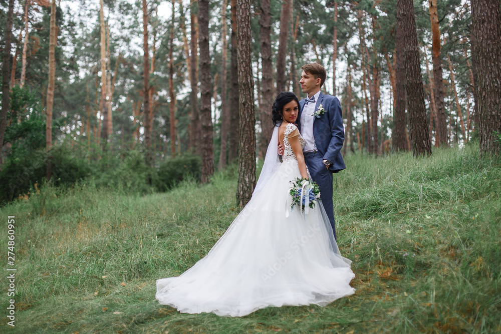 Groom in a suit holds bride in a white wedding dress outdoor.Happy young newlyweds smiling on their wedding day.bride and groom hugging at the wedding in nature.wedding concept Groom in a suit holds bride in a white wedding dress outdoor.Happy young newlyweds smiling on their wedding day.bride and groom hugging at the wedding in nature.wedding concept