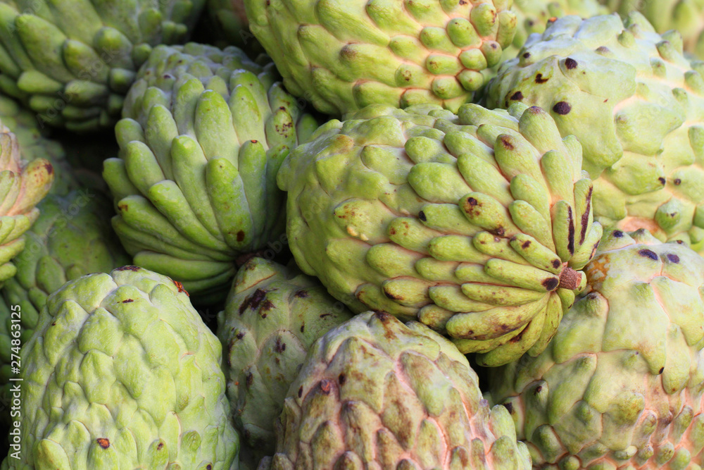 Fototapeta premium green annona fruits