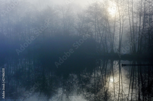 Countryside sunrise between the trees and the forests and the fields, on a misty morning