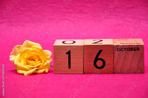 16 November on wooden blocks with a yellow rose on a pink background